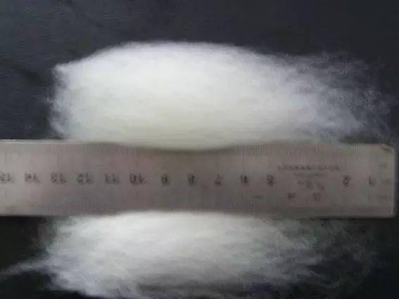 化纖世界入門 認識衣物背后的化學纖維基本概念與代號